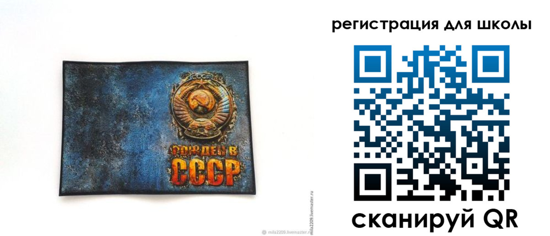регистрация в Мурманской области